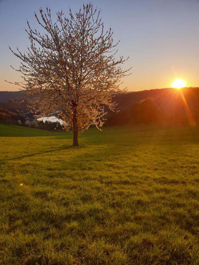 Garden & Hill Ferienwohnung Limburg Зимерат Екстериор снимка