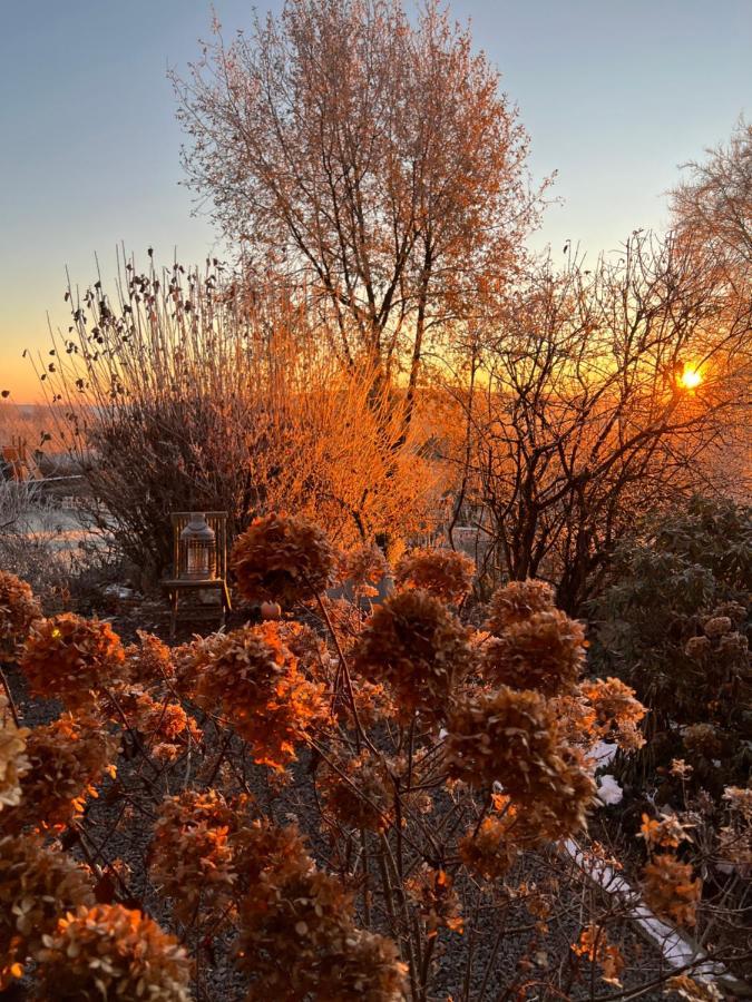 Garden & Hill Ferienwohnung Limburg Зимерат Екстериор снимка